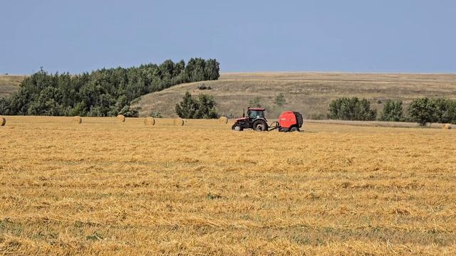 Уборка овса, работают Акрос-550 и Ростсельмаш Т-500
