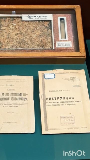Остерегайтесь брюшной тифа! Информационный плакат в Музее истории Медицины #музей #здоровье