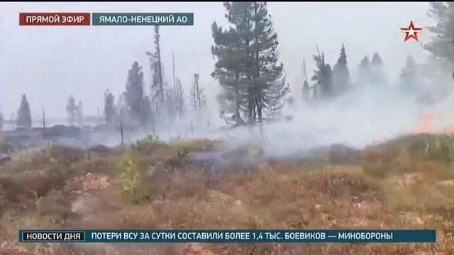 ТК Звезда_Лесные пожары в ЯНАО_26.08.2026