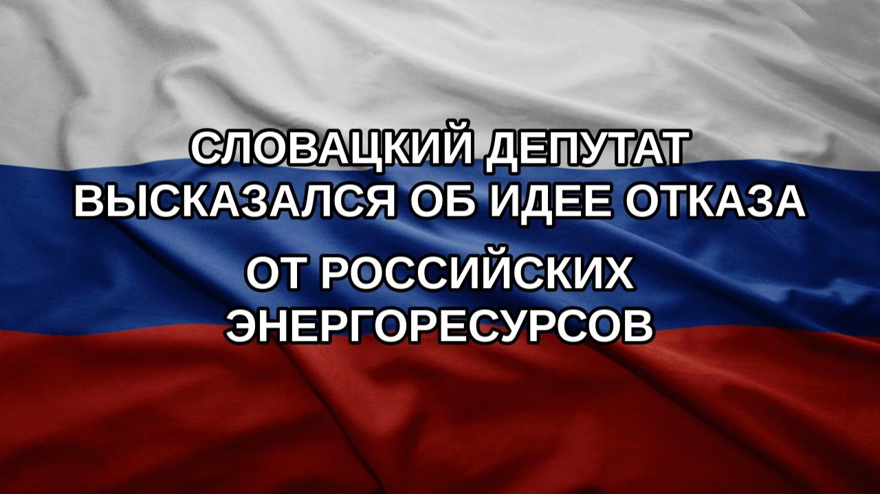Словацкий депутат высказался об идее отказа от российских энергоресурсов
