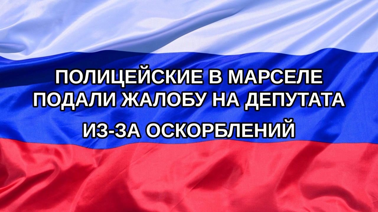 |Н. РФ| Полицейские в Марселе подали жалобу на депутата из-за оскорблений