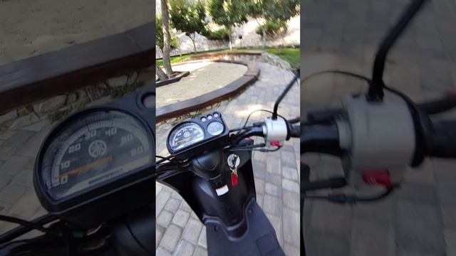 81476.mp4