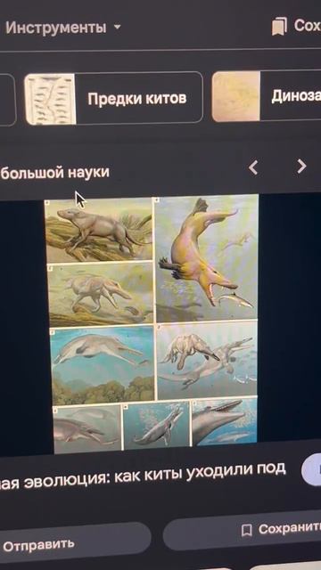Задавать вопрос ПОЧЕМУ никогда не стыдно