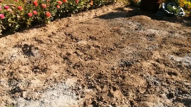 Осенняя подготовка почвы под картофель