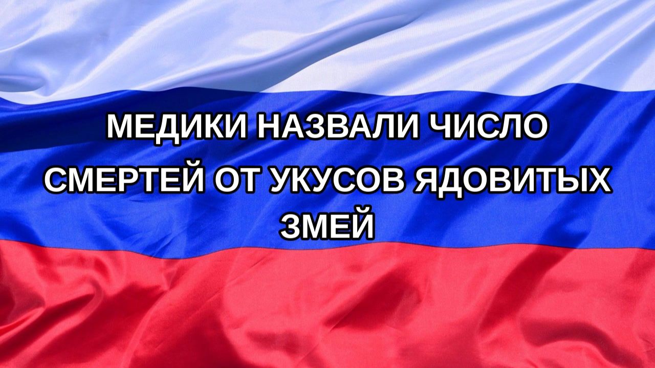 |Н. РФ| Медики назвали число смертей от укусов ядовитых змей