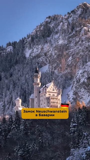 Видео от Немецкий язык