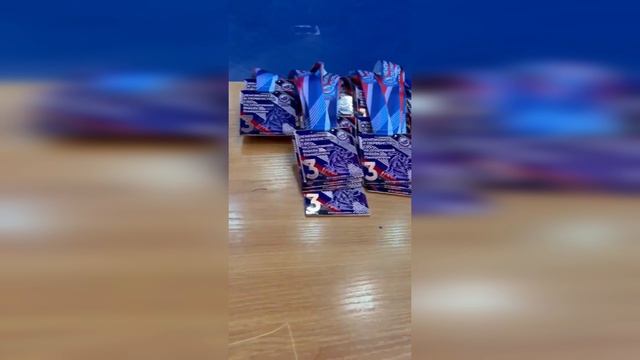 Панкратион - Итоги чемпионата и первенства Сибирского Федерального округа в г. Бердске - 2026 г.