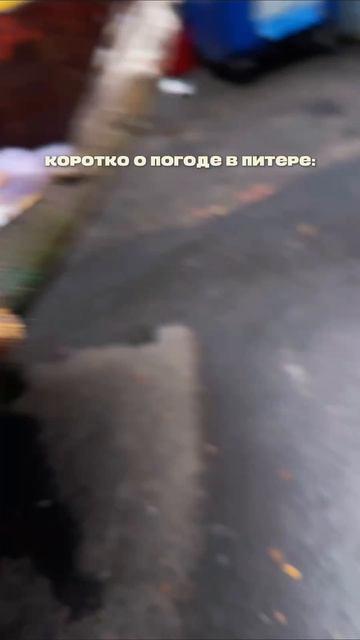 Погода в Питере
