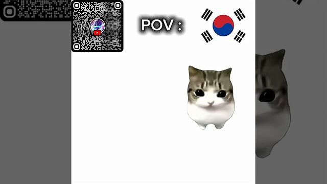 Approving Countries As A South Korean Cat