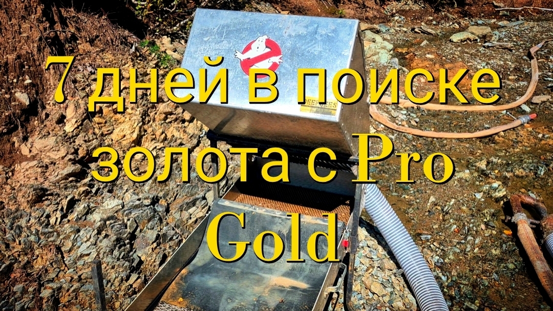 7 дней в поиске золота