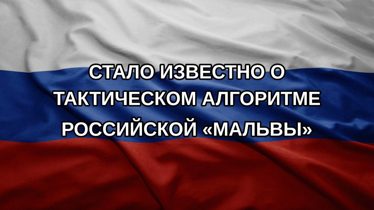 Стало известно о тактическом алгоритме российской «Мальвы»