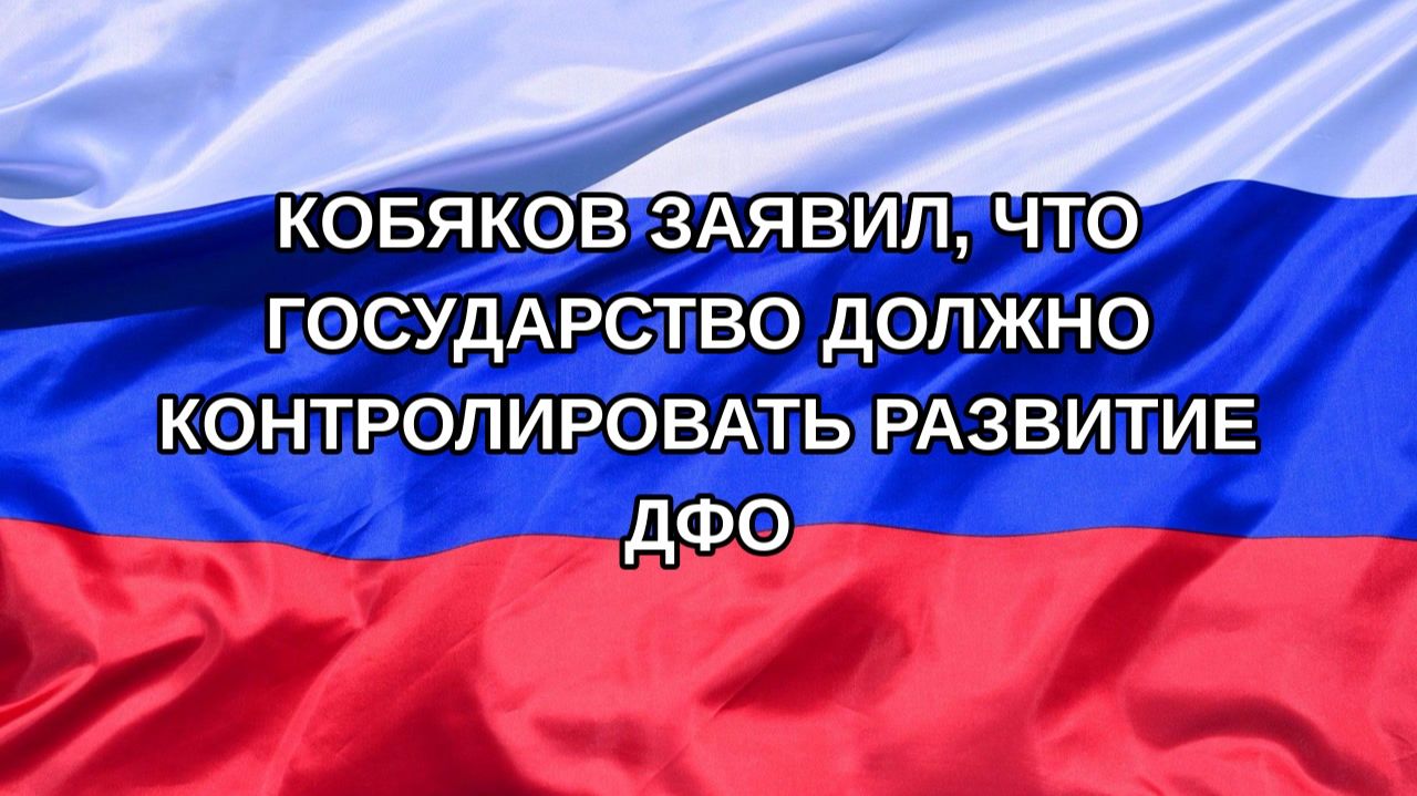Н. РФ Кобяков заявил что государство должно контролировать развитие ДФО