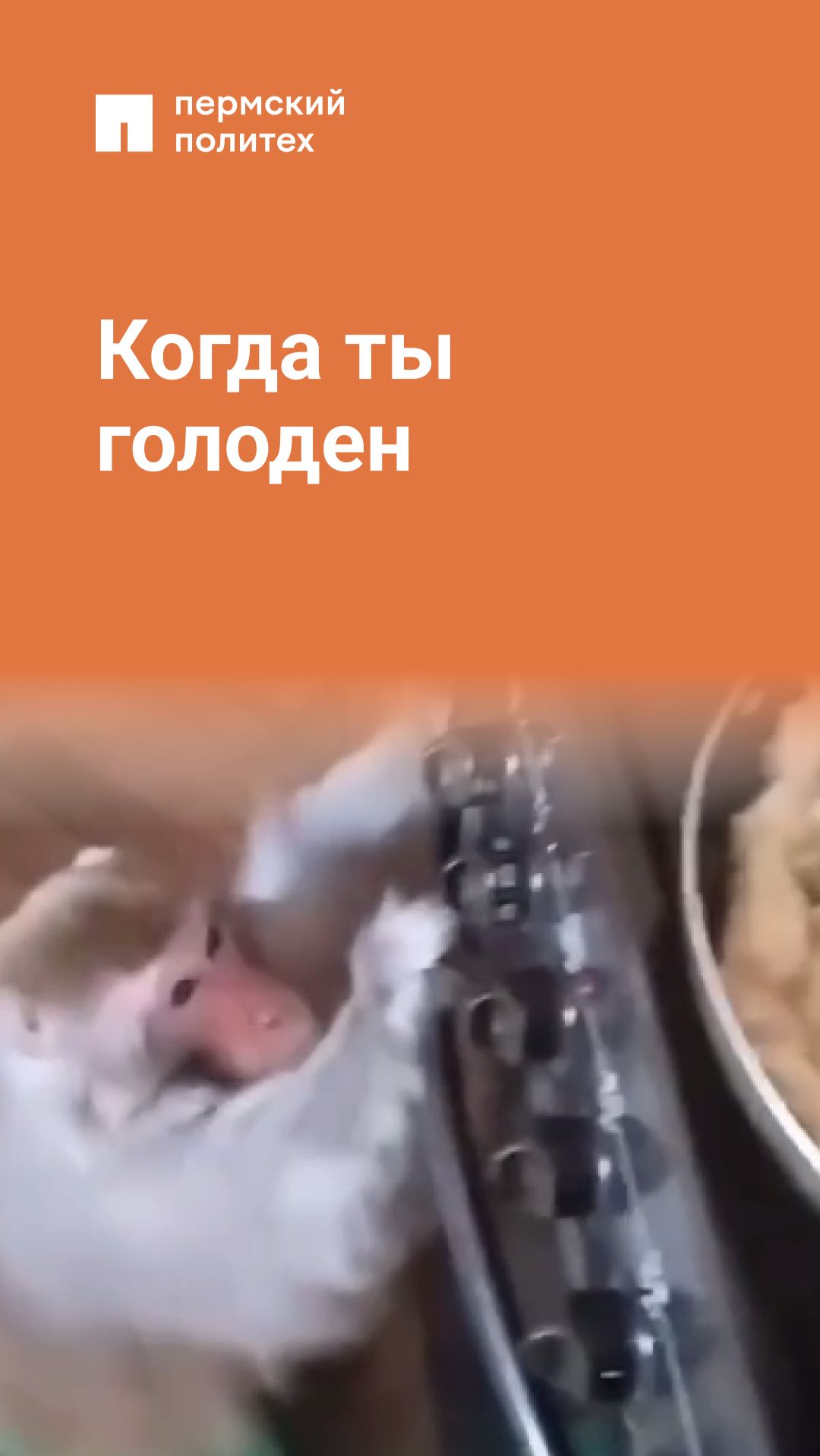 Когда ты голоден