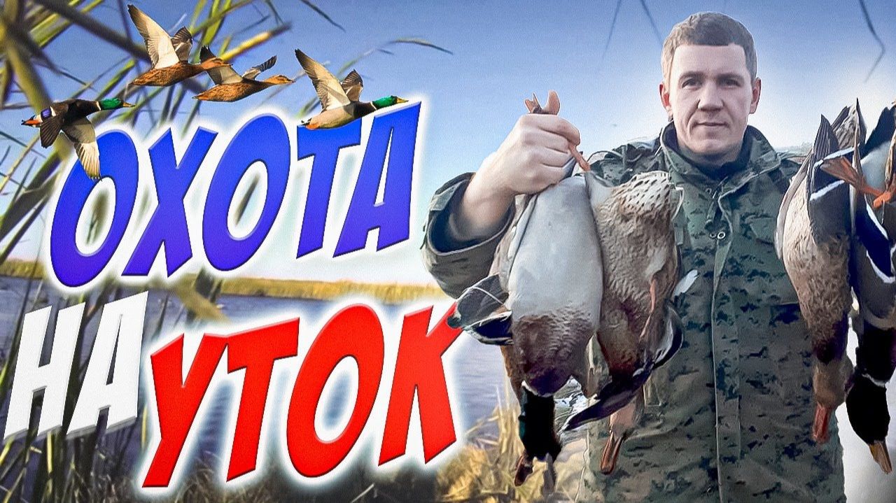 OХОТА в жару на вяхиря и утку