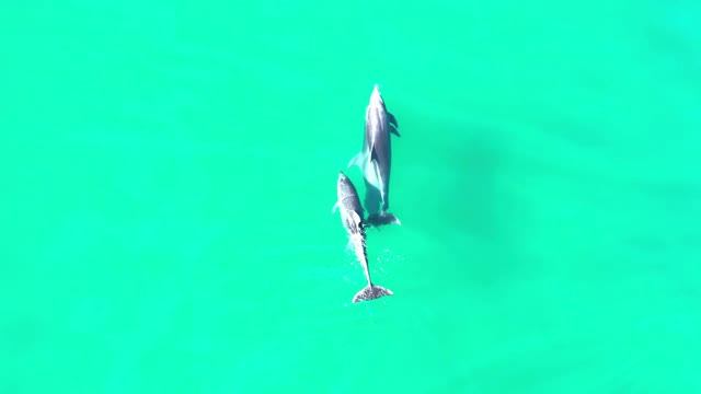 Музыка для души