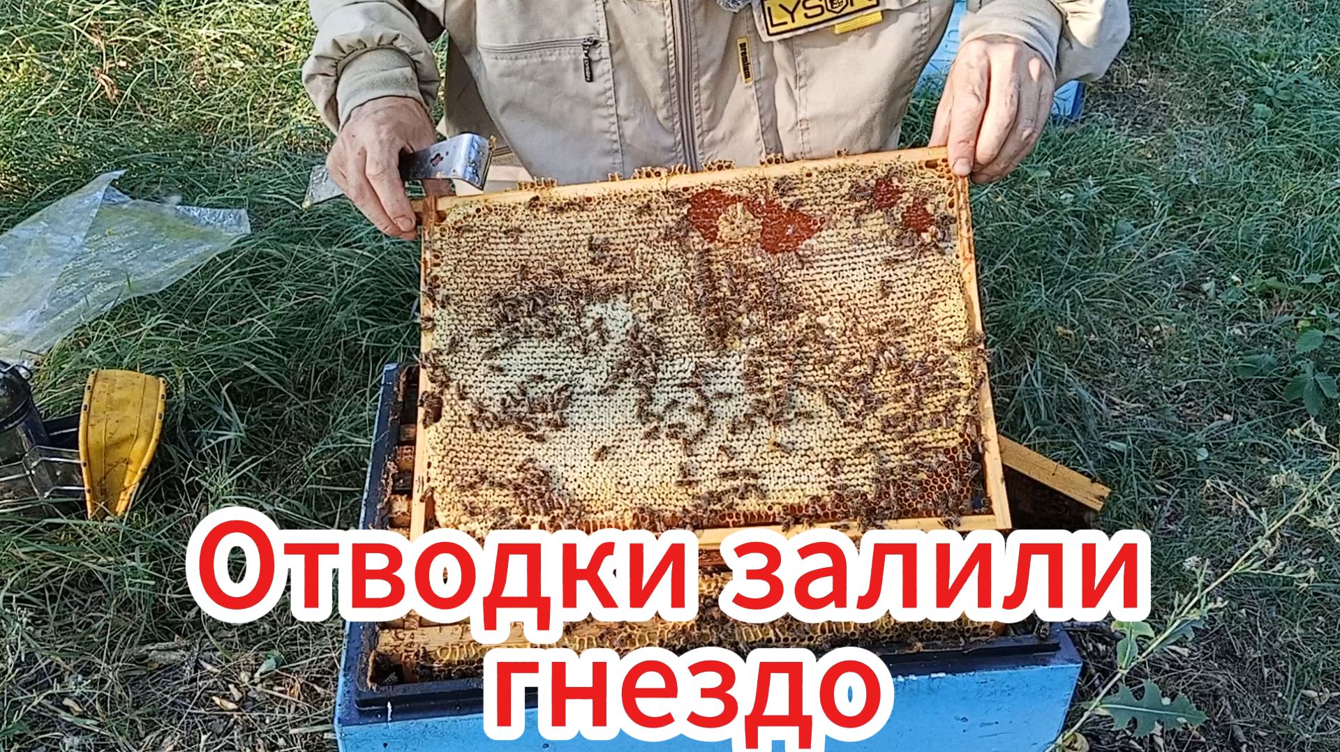 Осмотр отводков на дадановской рамке.