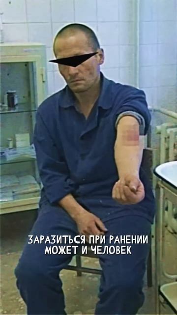 контур перезалив