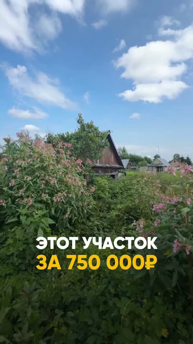 В продаже дачный участок в развитом поселке
