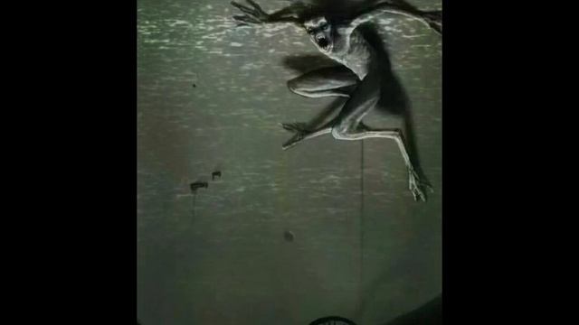 С. к. и. д обект 001