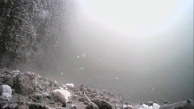 1000023177.mp4Волга гл.5м.26.08.2026г.