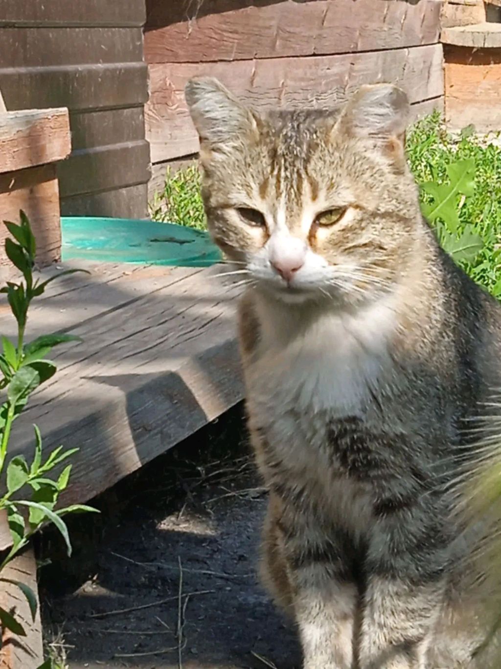 юбилей