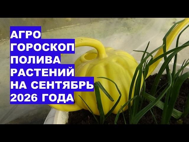 Лучшие Дни Для Полива В Сентябре 2026: Астрологический Календарь