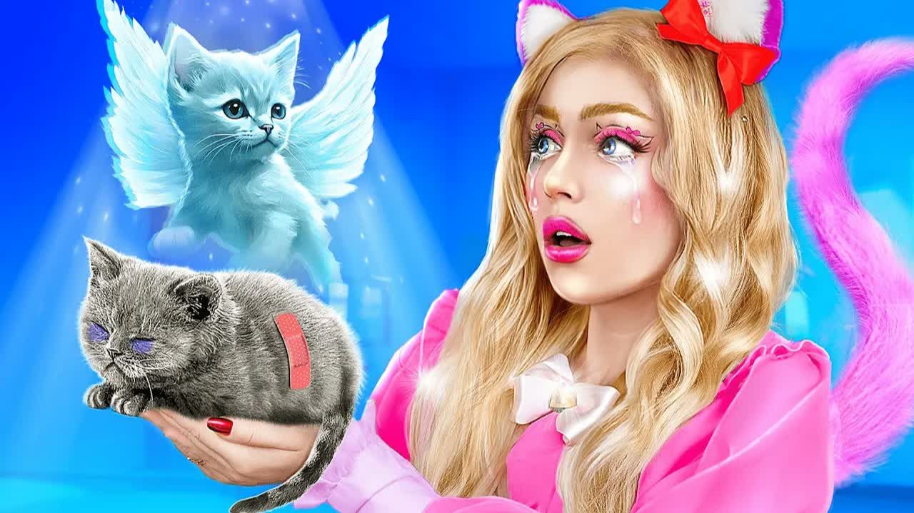 Hello Kitty спасла бездомного котёнка! Лайфхаки для владельцев животных! Из ботанши