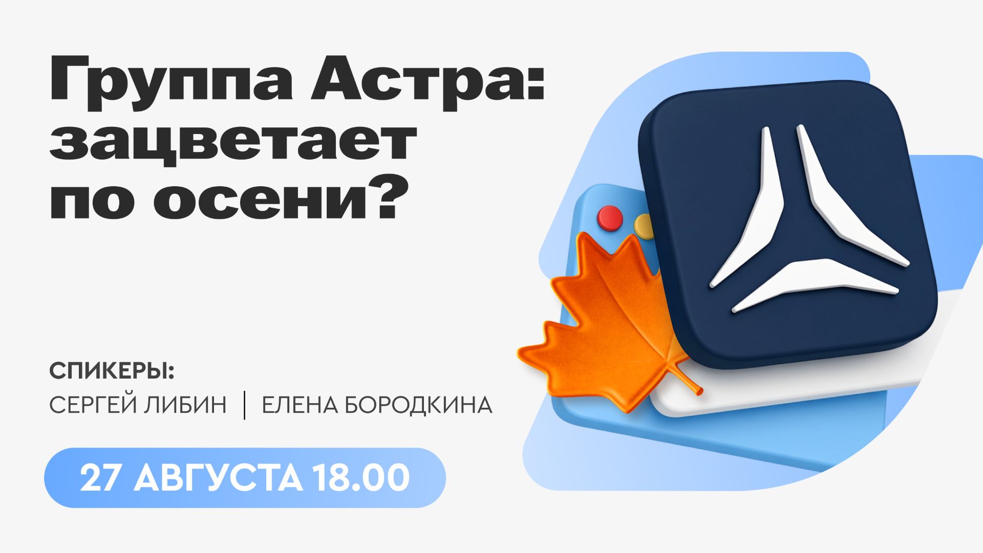 🌺 Группа Астра: зацветает по осени?