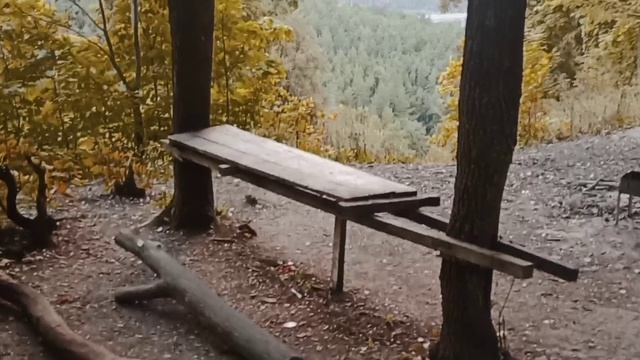 Уфимские липы.mp4