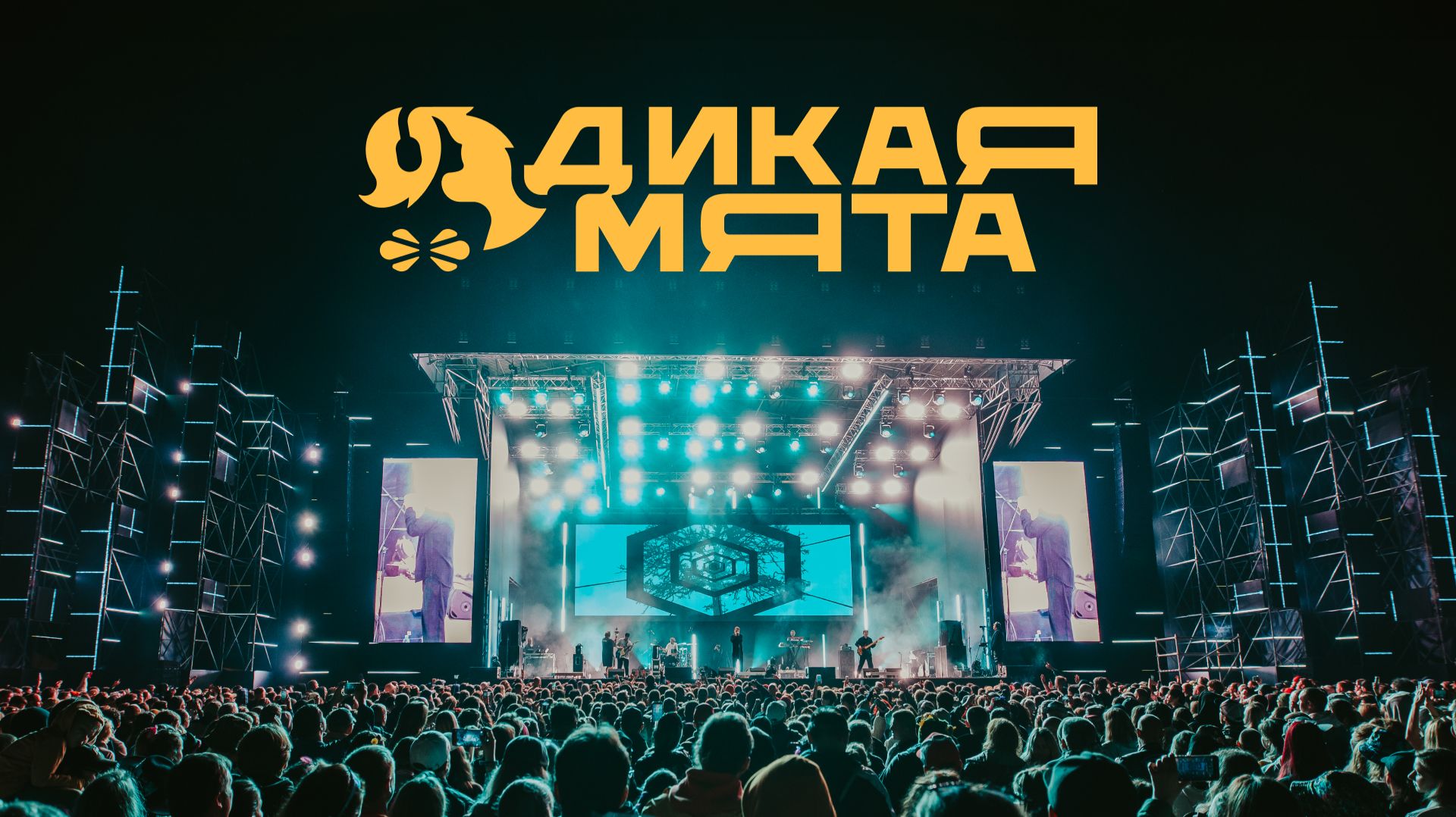 Дикая Мята-2026: Aftermovie