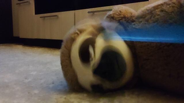 мотел
