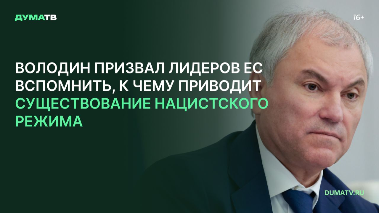 Володин призвал лидеров ЕС вспомнить, к чему приводит существование нацистского режима