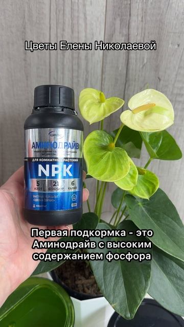 2 подкормки для цветения любых цветов!