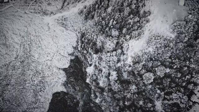 APOLAUSTIC - Testimony Of An Obsolescent World (OFFICIAL VIDEO)