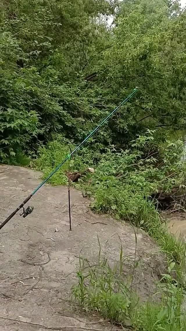 НА РЫБАЛКЕ _ ИТОГ ЗА ПОЛ ДНЯ 1 ЁРШ! ЗА ТО НА ПРИРОДЕ ЛЕПОТА! ПТИЦЫ ПОЮТ! 2025 Год #fishing #рыбалка