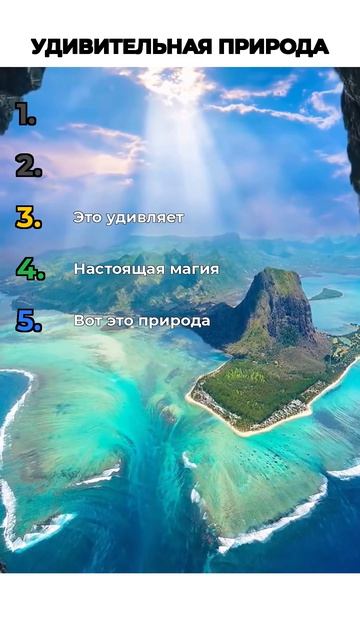 УДИВИТЕЛЬНАЯ ПРИРОДА