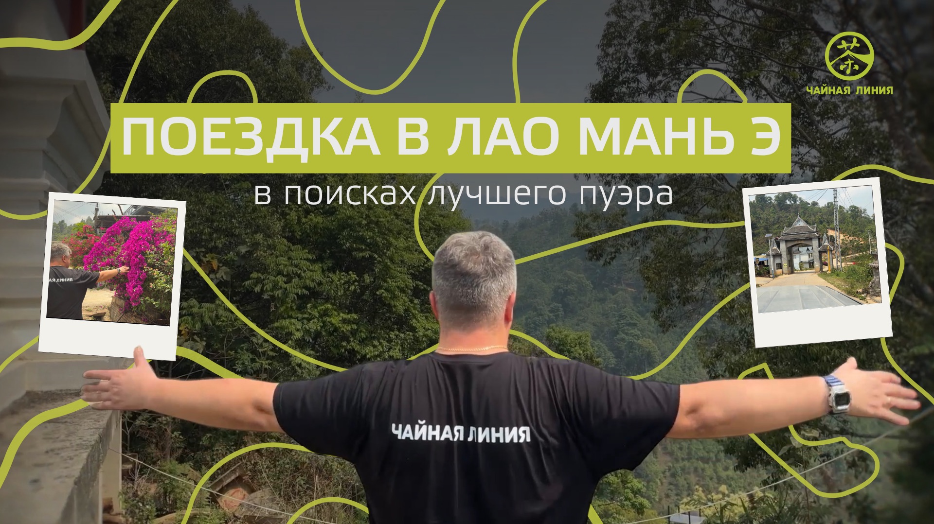 Лао Мань Э изнутри: 500-летние чайные деревья и кислый чай