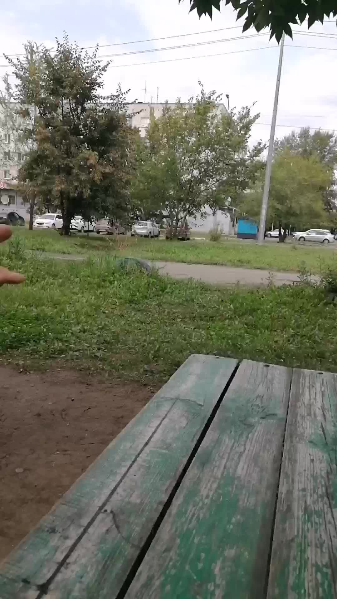 Вторая часть