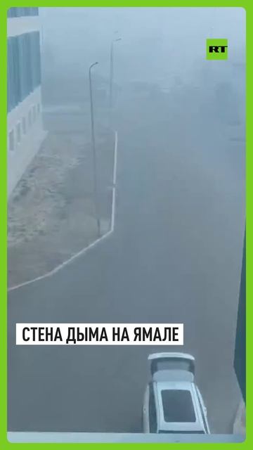 В ЯНАО площадь природных пожаров превысила 387 тысяч гектаров