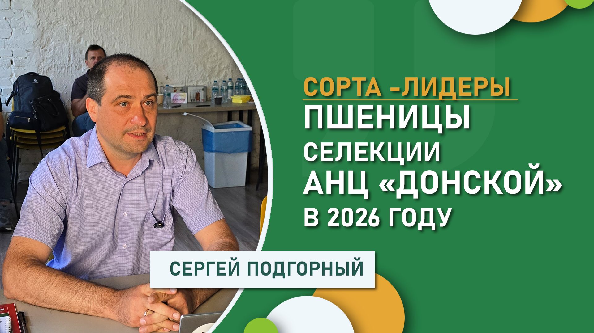 Какие сорта пшеницы селекции АНЦ «Донской» стали лидерами по урожайности в 2026 году