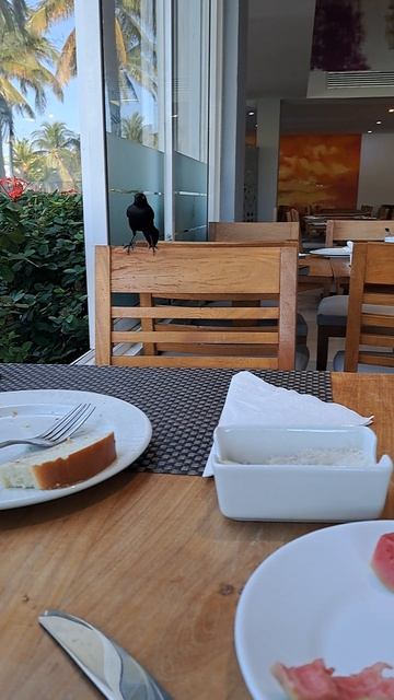 Кубинский наглый парень😁