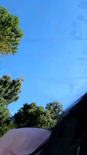26-08-2026