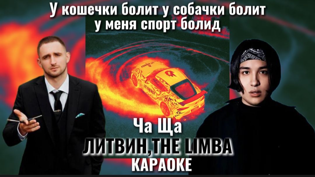 ЛИТВИН The Limba - Ча ща  У кошечки болит у собачки болит у меня спорт болид Миша литвин мем