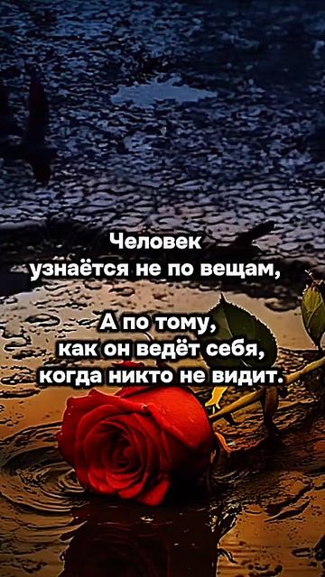 Золотые слова