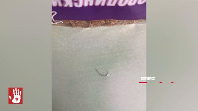 Копейчане рассказали об острой проволоке, которая попалась им в «бородинском» хлебе