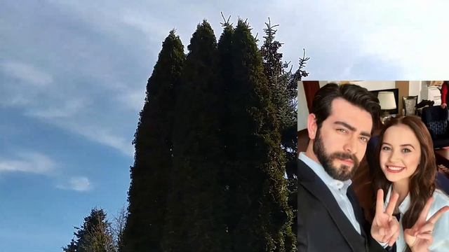 Кровавые цветы 67 серия на русском языке. Новый турецкий сериал