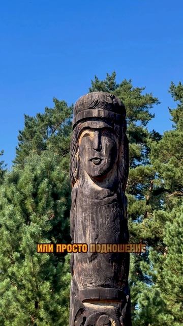 Тгк: Semeinyki