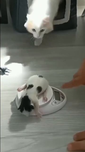 Возмущение зашкаливает 🥰
