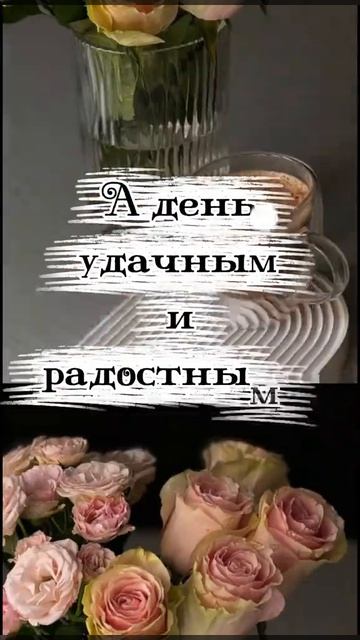 С добрым летним утром!