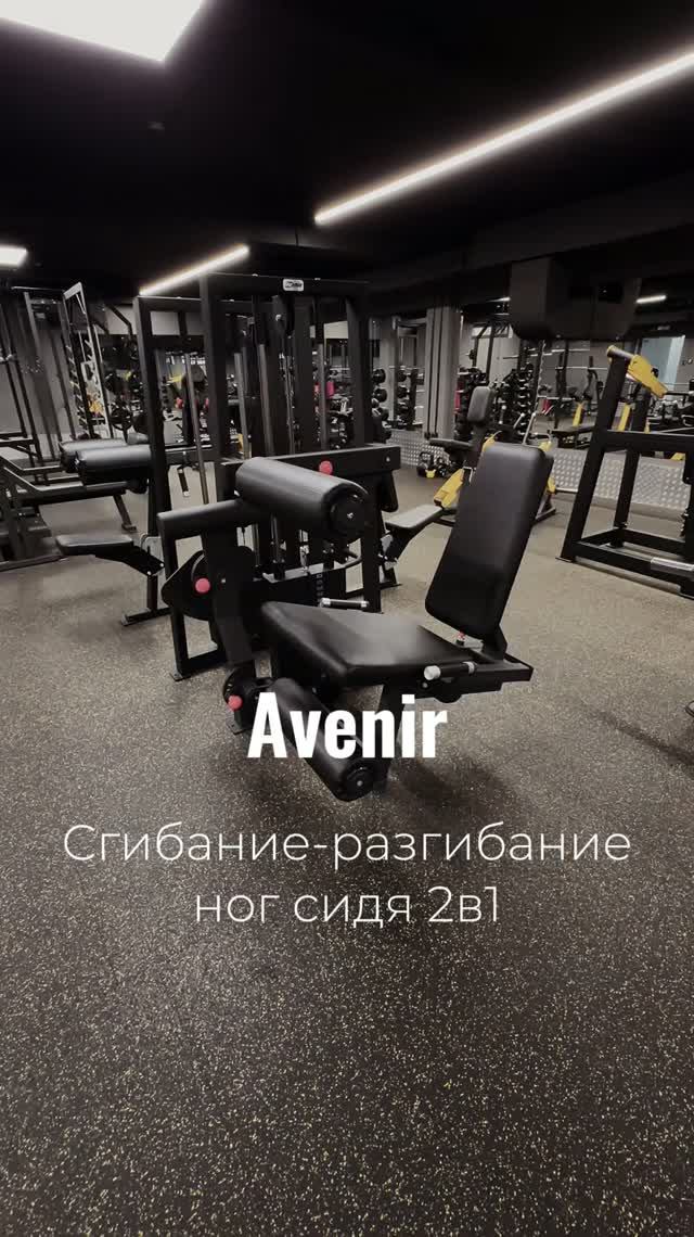 Сгибание-разгибание ног сидя 2 в 1 100 кг AV216/80